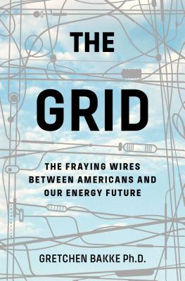 Image for The Grid: The Fraying Wires Between Americans and Our Energy Future