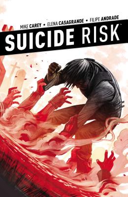 Image for Suicide Risk Vol. 4 (4) Suicide Risk Vol. 4 (4)