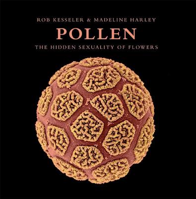 Image for Pollen: The Hidden Sexuality of Flowers Pollen: The Hidden Sexuality of Flowers