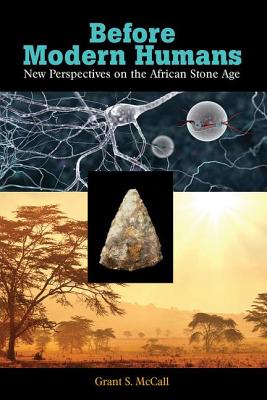 Before Modern Humans: New Perspectives on the African Stone Age