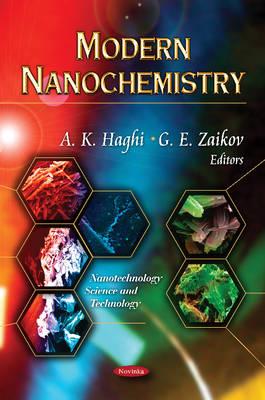 Modern Nanochemistry (Nanotechnology Science and Technology)