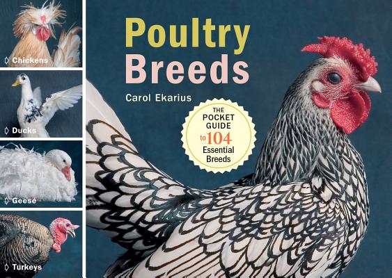 Image for Poultry Breeds : The Pocket Guide to 104 Essential Breeds