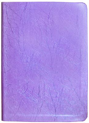 Image for The MessageREMIX: The Bible in Contemporary Language (Navpress Devotional Readers)