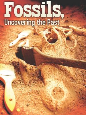 Fossils: Uncovering the Past