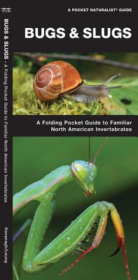 Bugs & Slugs, 2nd Ed: A Folding Pocket Guide to Familiar North American Invertebrates (Nature Observation North America)