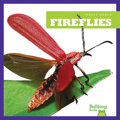 Image for Fireflies (Bullfrog Books: Insect World) Fireflies (Bullfrog Books: Insect World)