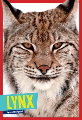 Lynx (Wild Cats)
