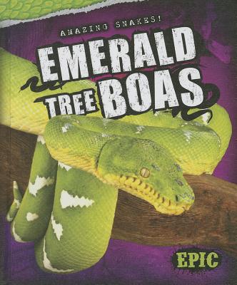 Emerald Tree Boas (Amazing Snakes!)
