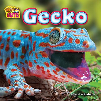 Image for Gecko (Weird but Cute) Gecko (Weird but Cute)