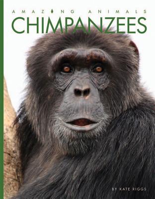 Image for Chimpanzees (Amazing Animals)