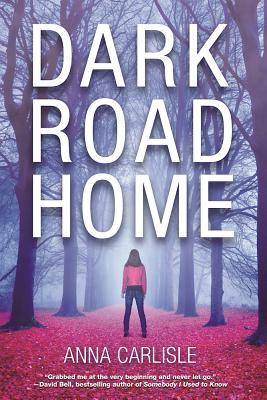 Dark Road Home: A Gin Sullivan Mystery