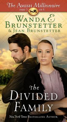 Image for The Divided Family  (Bk 6 Amish Millionaire)