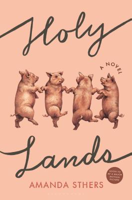 Image for Holy Lands: A Novel Holy Lands: A Novel