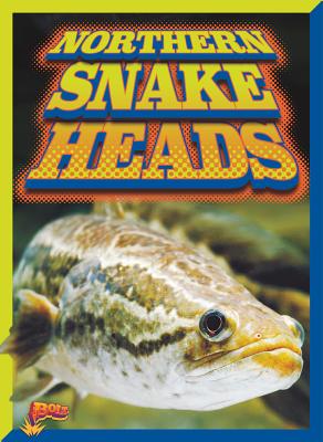 Image for Northern Snakeheads (Invasive Species Takeover)