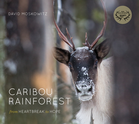 Image for Caribou Rainforest: From Heartbreak to Hope Caribou Rainforest: From Heartbreak to Hope