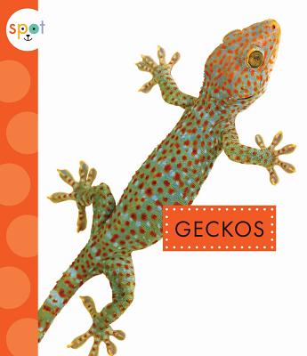 Geckos (Spot) Image for Geckos (Spot)