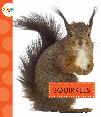 Image for Squirrels (Spot)
