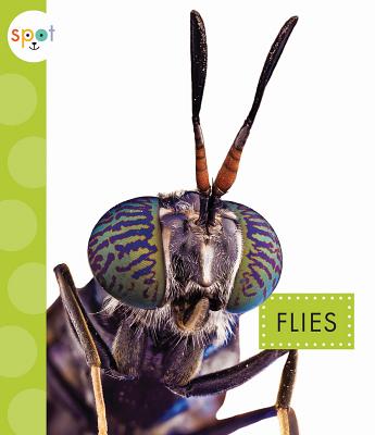 Image for Flies (Spot)