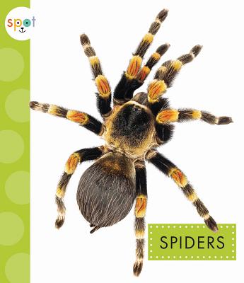 Spiders (Spot) Image for Spiders (Spot)