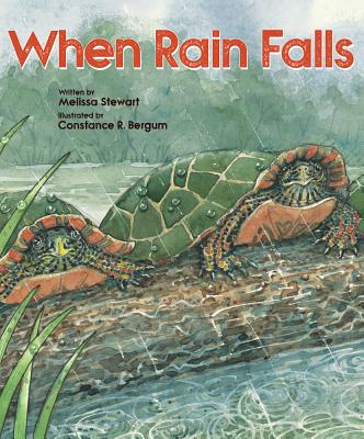 Image for When Rain Falls (Place For.) When Rain Falls (Place For.)