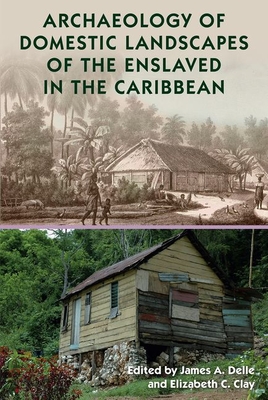 Image for ARCHAEOLOGY OF DOMESTIC LANDSCAPES OF THE ENSLAVED IN THE CARIBBEAN ARCHAEOLOGY OF DOMESTIC LANDSCAPES OF THE ENSLAVED IN THE CARIBBEAN