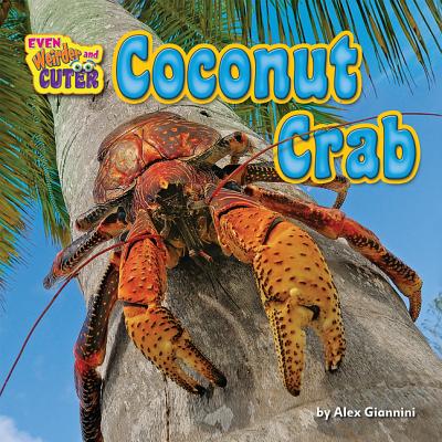 Coconut Crab (Even Weirder and Cuter) Image for Coconut Crab (Even Weirder and Cuter)