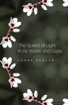 Image for The Speed of Light in Air, Water, and Glass The Speed of Light in Air, Water, and Glass