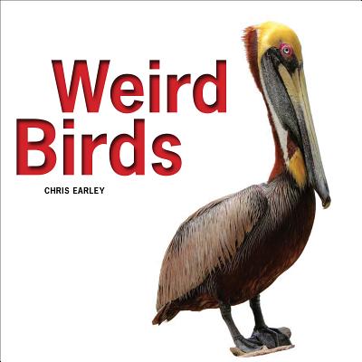 Image for Weird Birds