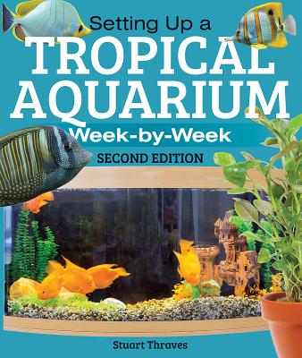 Setting Up a Tropical Aquarium Week-by-Week