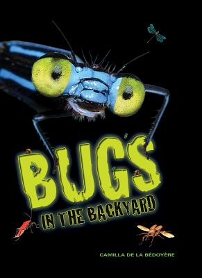 Image for Bugs in the Backyard