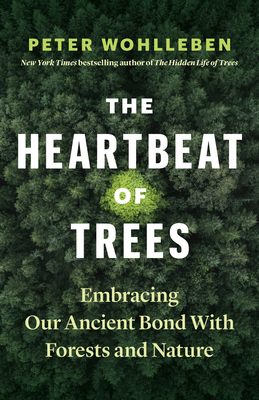 Heartbeat of Trees: Embracing Our Ancient Bond with Forests and Nature