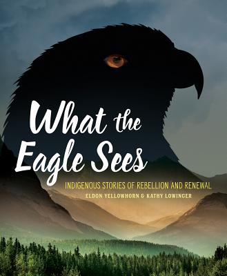 Image for What the Eagle Sees: Indigenous Stories of Rebellion and Renewal