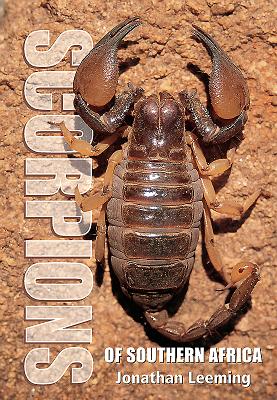 Scorpions of Southern Africa