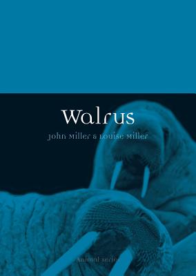 Walrus (Animal)