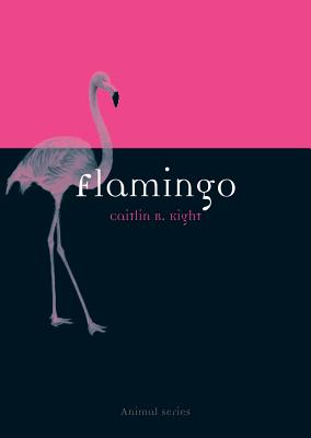 Flamingo (Animal)