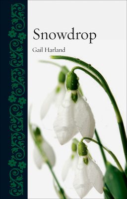 Snowdrop (Botanical)