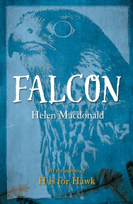 Falcon (Animal Series)