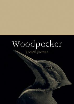Woodpecker (Animal)