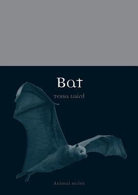 Bat (Animal)