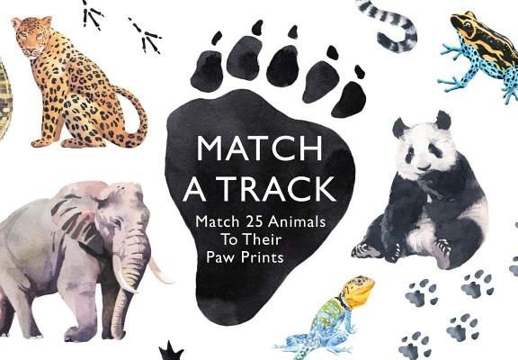 Image for {NEW} Match a Track: Match 25 Animals to Their Paw Prints (Magma for Laurence King)