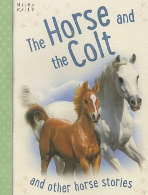Horse Stories - The Horse and the Colt