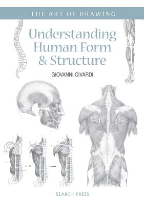 Image for Understanding Human Form & Structure: The Art of Drawing