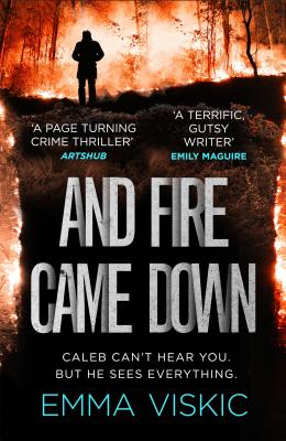 And Fire Came Down: Caleb Zelic Series: Volume Two (Pushkin Vertigo)