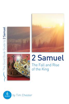 Image for 2 Samuel: The Fall and Rise of the King