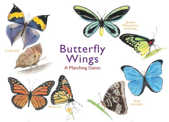 Image for {NEW} Butterfly Wings: A Matching Game