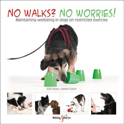 No walks No worries!: Maintaining wellbeing in dogs on restricted exercise