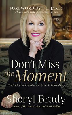 Image for Don't Miss the Moment: How God Uses the Insignificant to Create the Extraordinary