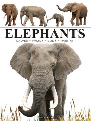 Elephants (Mini Encyclopedias)