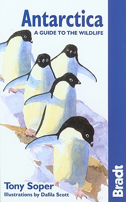 Bradt Antarctica: A Guide to the Wildlife
