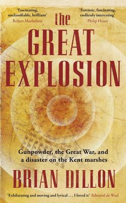 Image for The Great Explosion: Gunpowder The Great War And The Anatomy Of Disaster